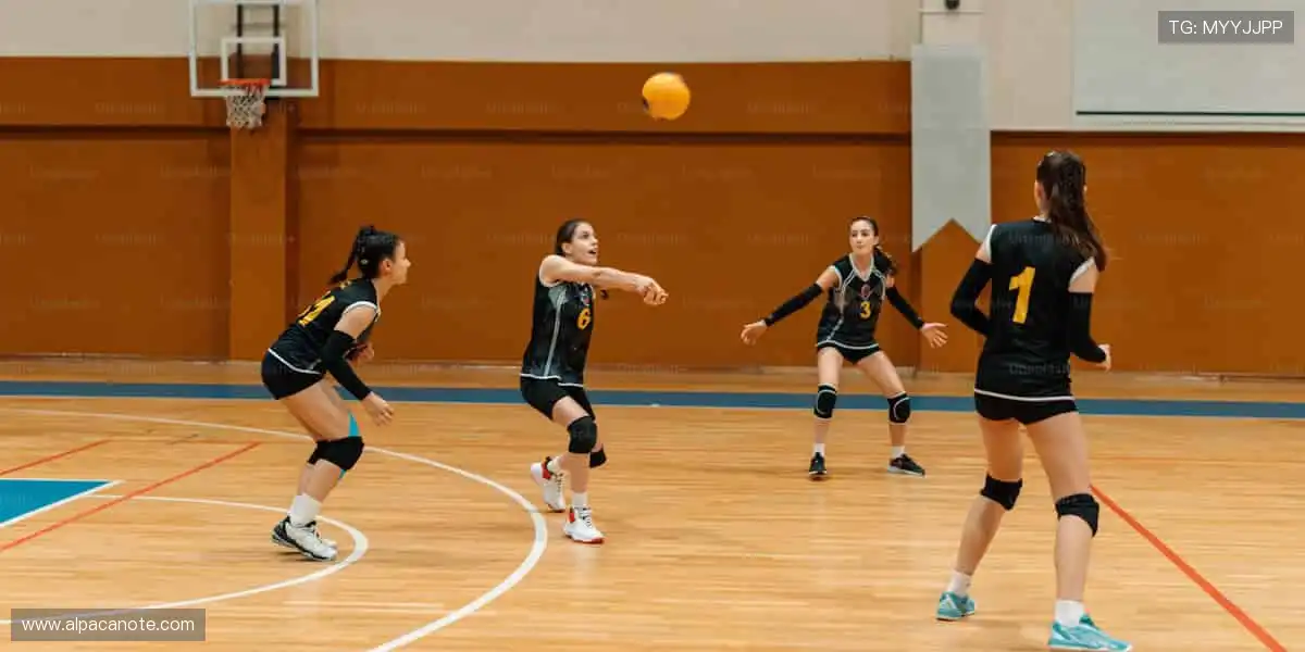 🎥 实时解说，让你身临其境感受赛场魅力！🔥